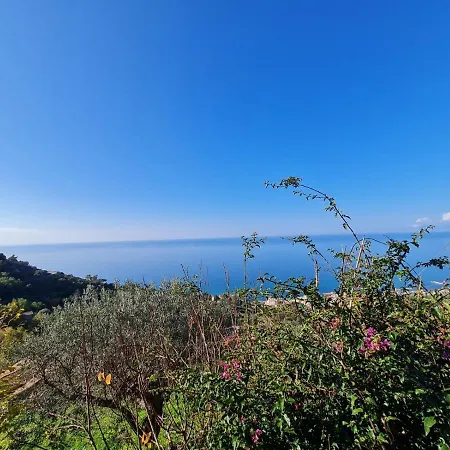 Villa Luce Dreaming *